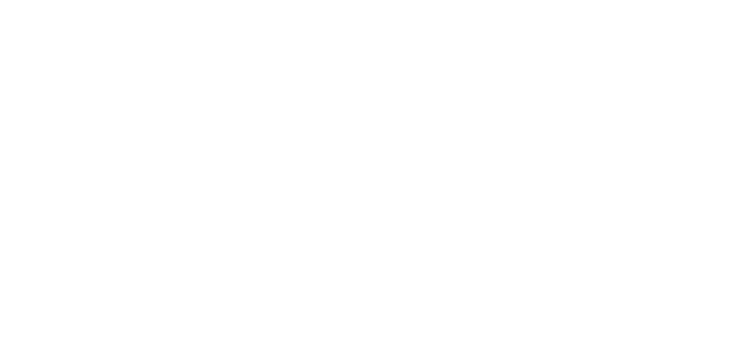 Logo Dolphins Cage