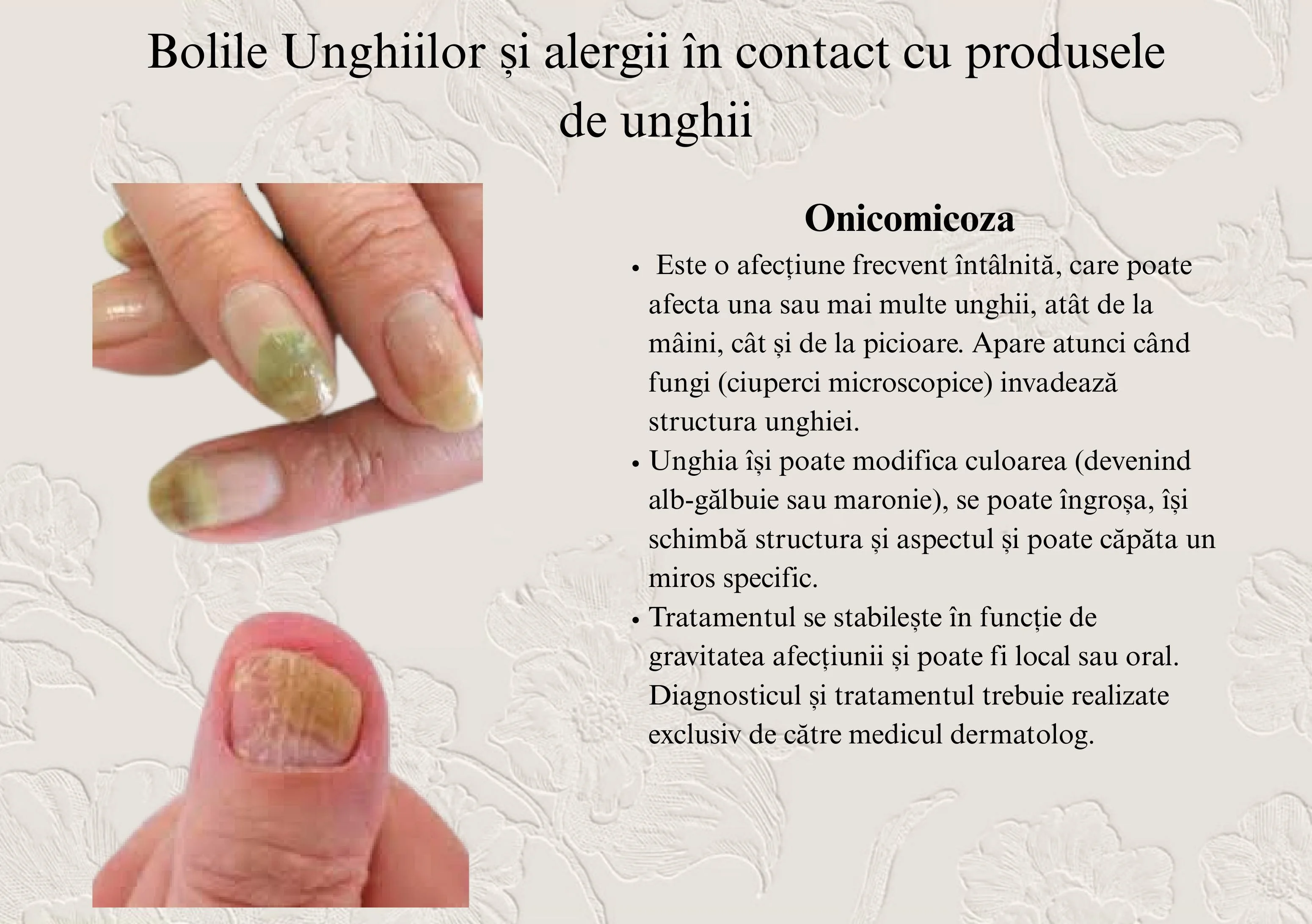 Pagină de manual cu conținut și imagini