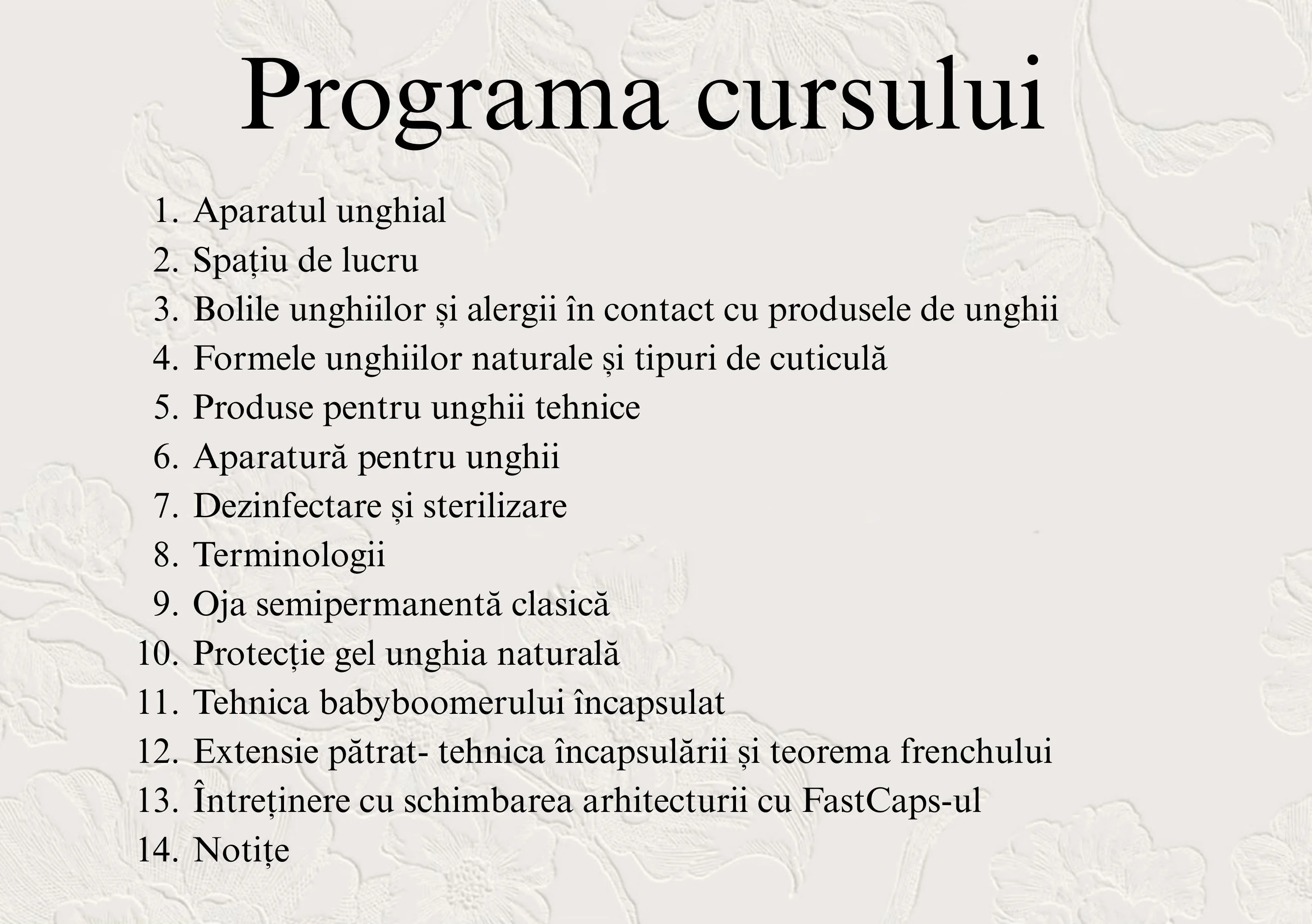 Pagina cu programa cursului