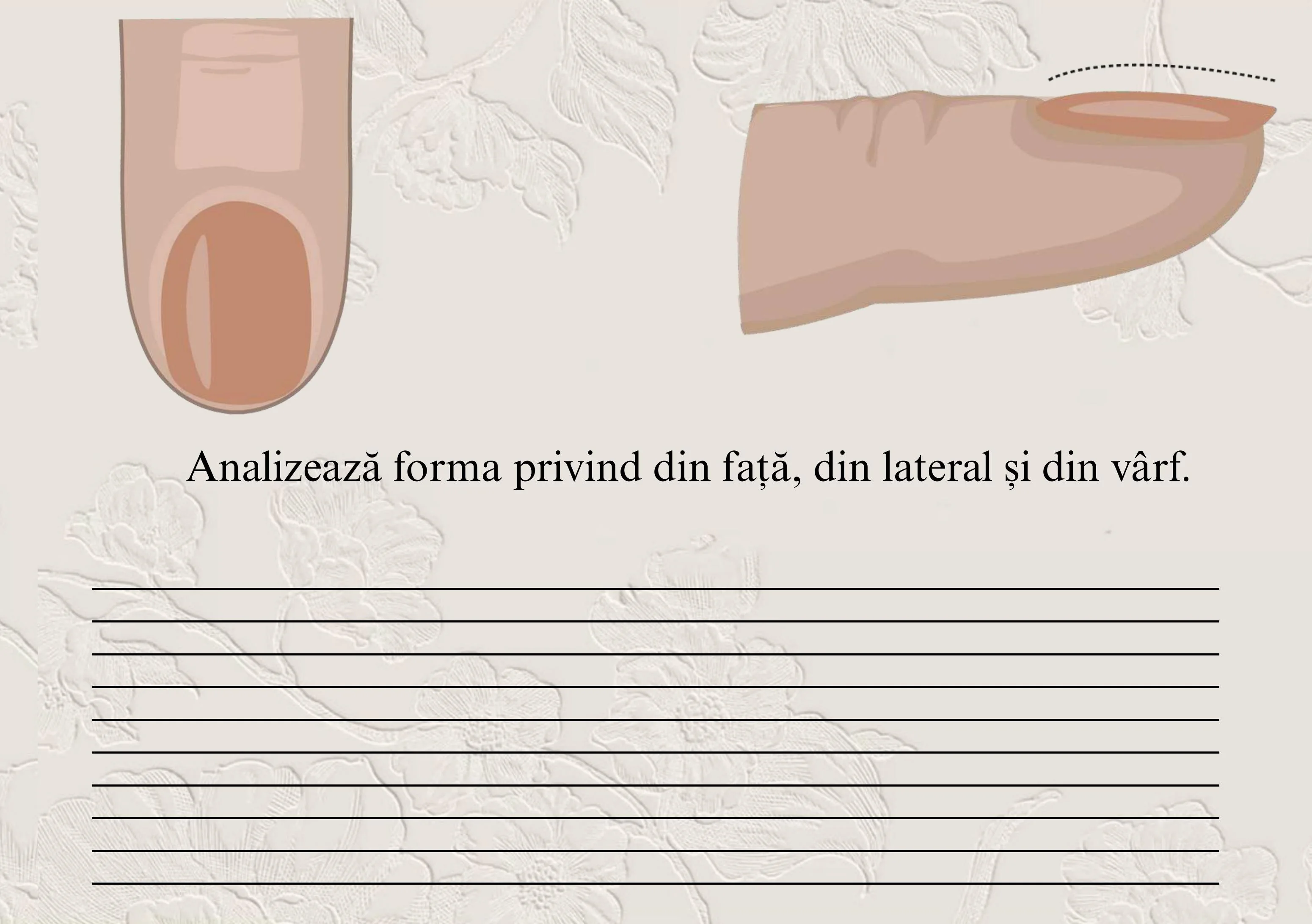 Pagină de exercițiu din manual
