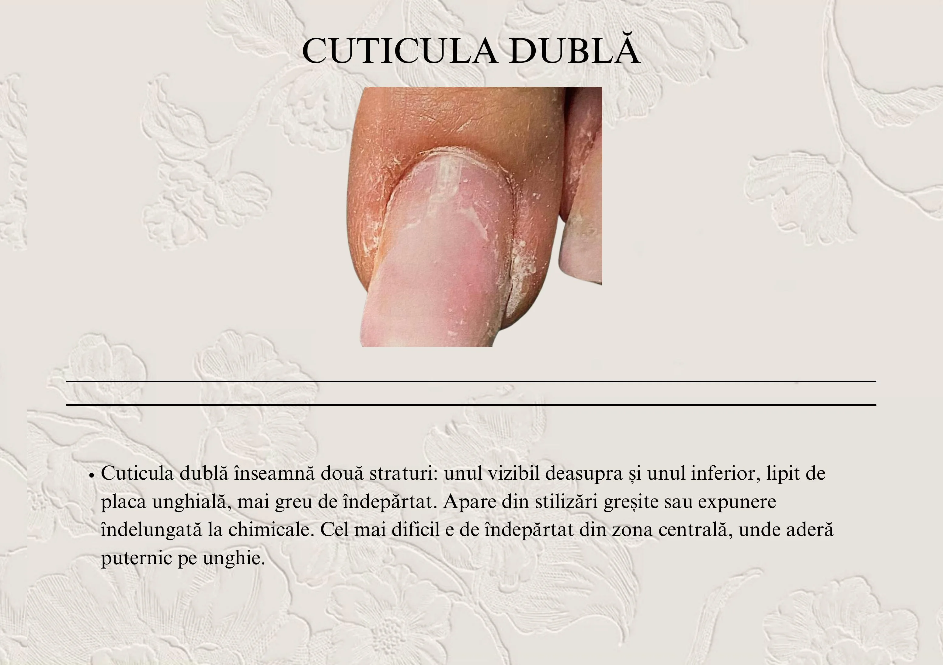 Pagină de manual cu exemplu vizual